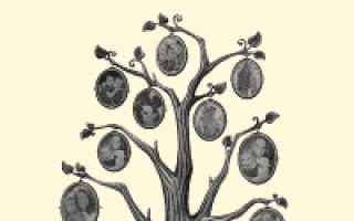 Бесплатная программа генеалогическое древо — Family Tree Builder
